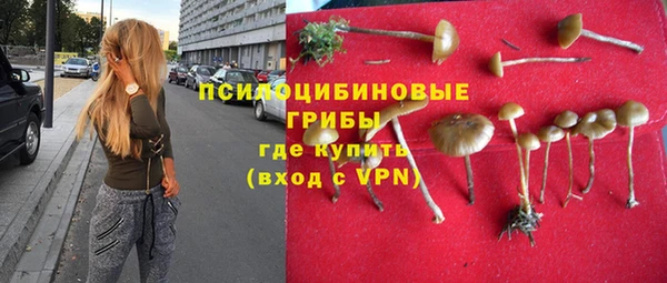 трава Бронницы